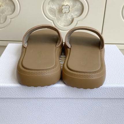 DIOR 26S DWAY SLIDES IN BROWN RUBBER SOLE